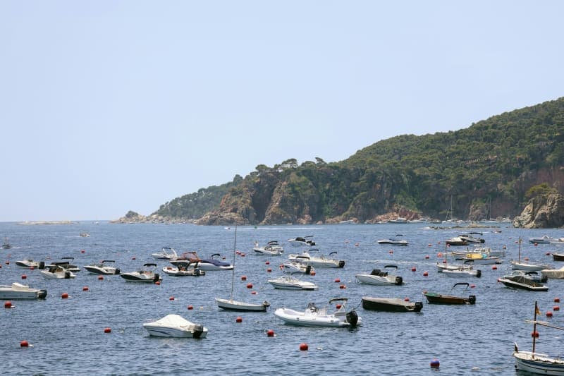 Small boats on mooring buoys in a sheltered bay below a wooded headland near Cannes